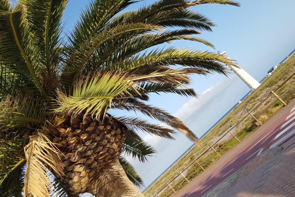 Front Beach Jandia Apartment Morro Jable  Exteriör bild